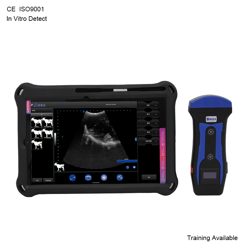 BXL-S201 Pig Sheep Livestock Abdominal Ultrasound Probe | Convex Veterinary Scanner