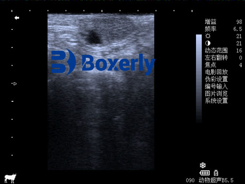 Ultrasonographic Evaluation of the Corpus Luteum After Prostaglandin Treatment in Cattle