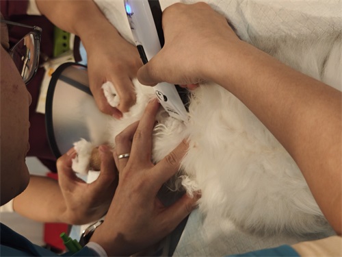 Is Ultrasound Operator Dependent?