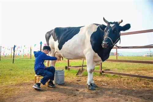 Portable Ultrasound Tracks Cow Mastitis Changes Across Large Farms