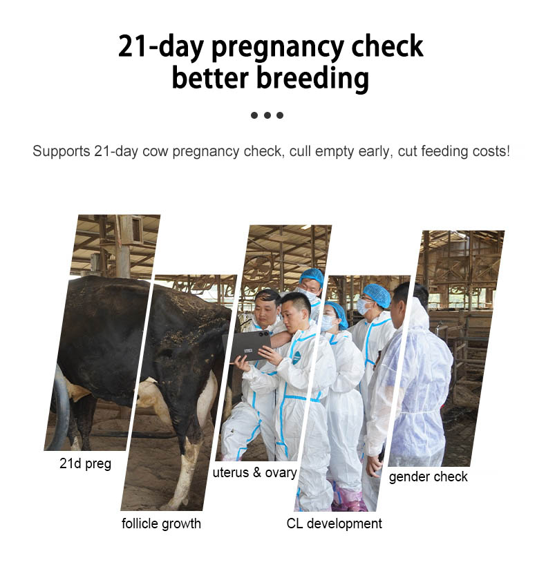 BXL-S300 Doppler Cattle & Horse Pregnancy Scanner, 128-Sondar, S200 Upgrade