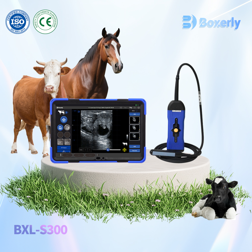 BXL-S300 Wireless Veterinary Doppler Ultrasound 21 Days Detect Cow Pregnancy | HD Image | AI Intelligent
