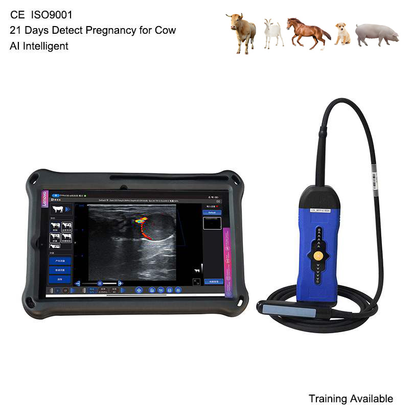 BXL-S300 Wireless Veterinary Doppler Ultrasound 21 Days Detect | HD Image | IPX7 AI Intelligent