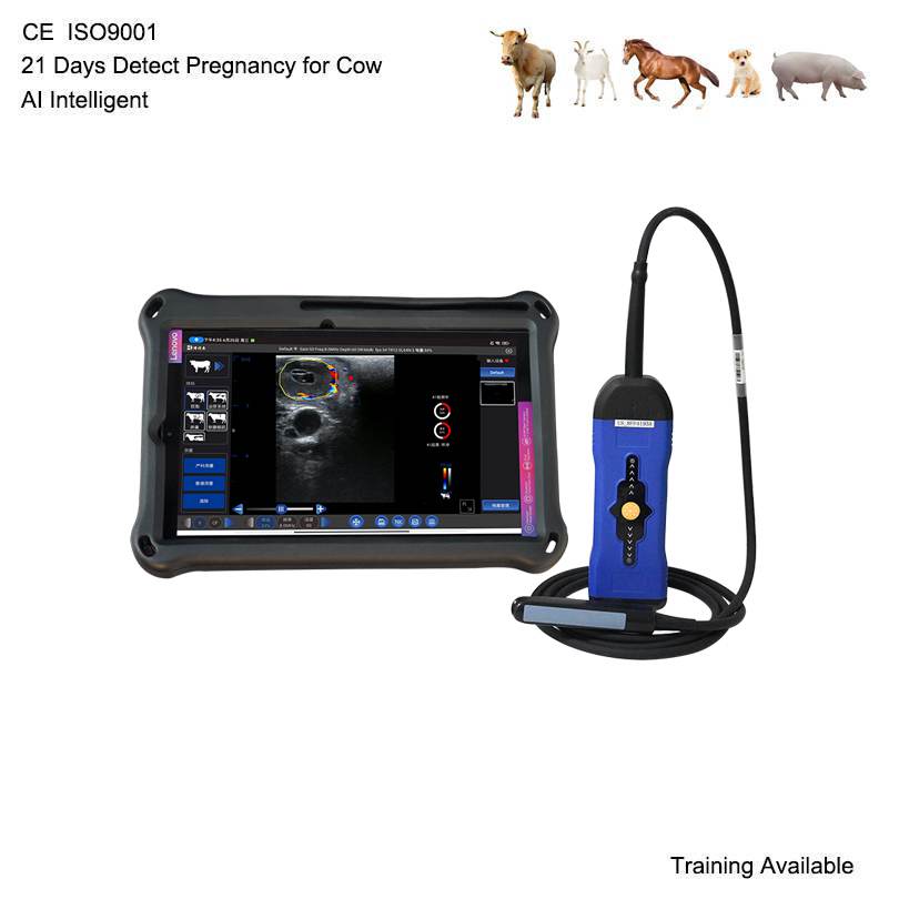 BXL-S300 Wireless Veterinary Doppler Ultrasound 21 Days Detect Cow Pregnancy | HD Image | AI Intelligent