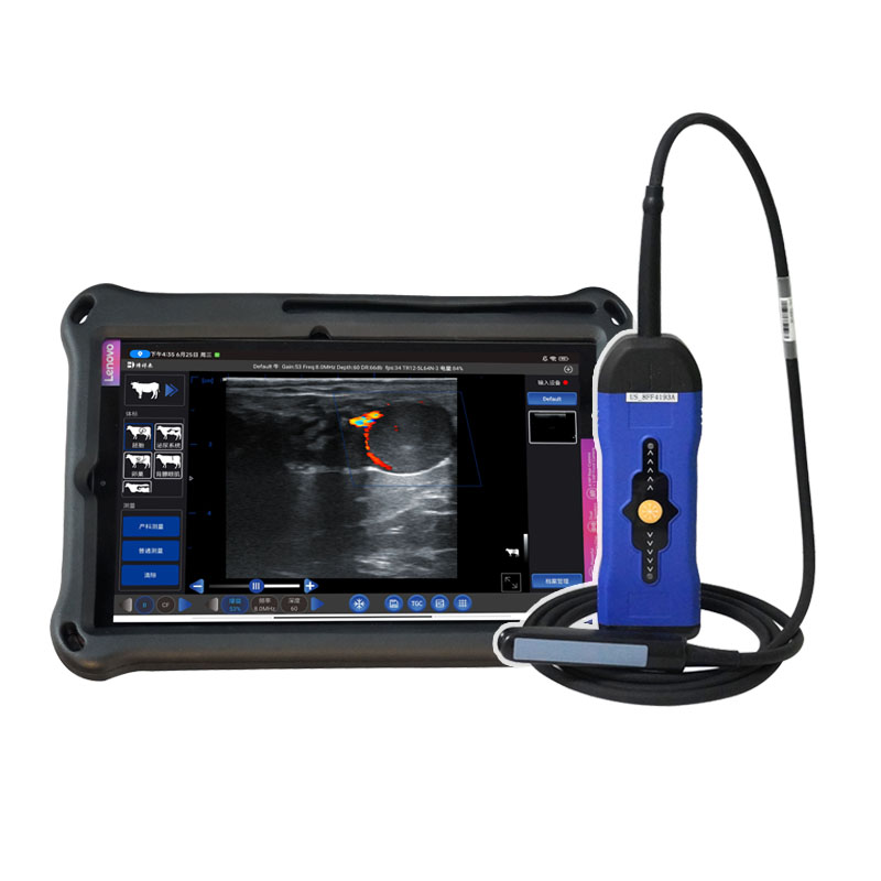 BXL-S300 Doppler Cattle & Horse Pregnancy Scanner, 128-Probe, S200 Upgrade