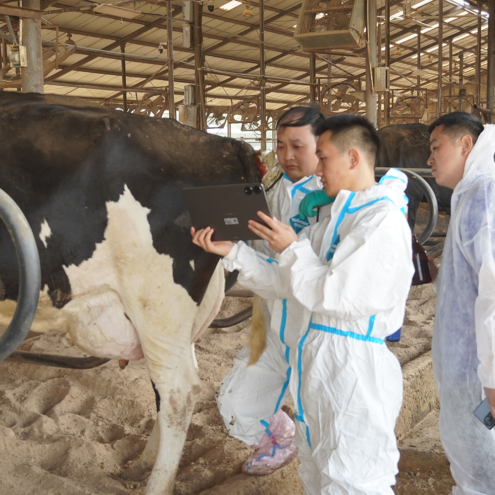 Portable Bovine Ultrasound Machine: Reliable Ultrasound Solutions for Modern Cattle Farming