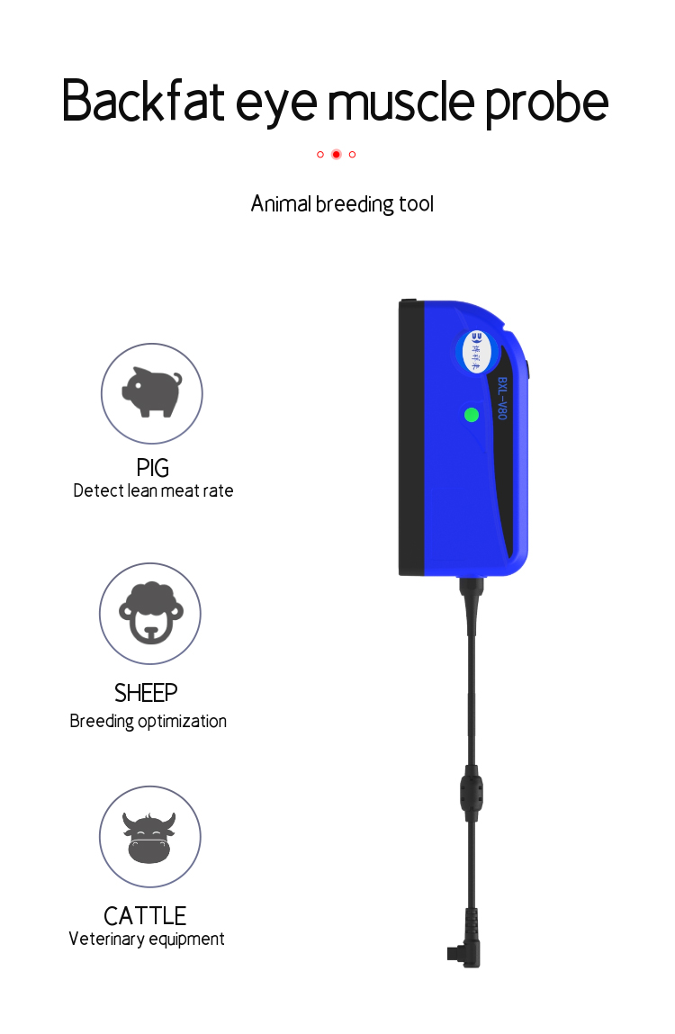 BXL-V80 Veterinary Doppler Ultrasound | 128/192-Element Probes | Backfat & Eye Muscle | IPX7 Waterproof | 7h Battery