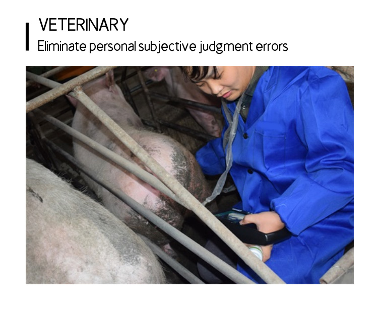 BXL-V80 Veterinary Doppler Ultrasound | 128/192-Element Probes | Backfat & Eye Muscle | IPX7 Waterproof | 7h Battery