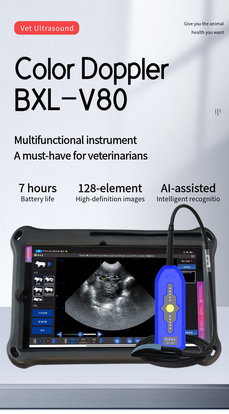 BXL-V80 Veterinary Doppler Ultrasound | 128/192-Element Probes | Backfat & Eye Muscle | IPX7 Waterproof | 7h Battery