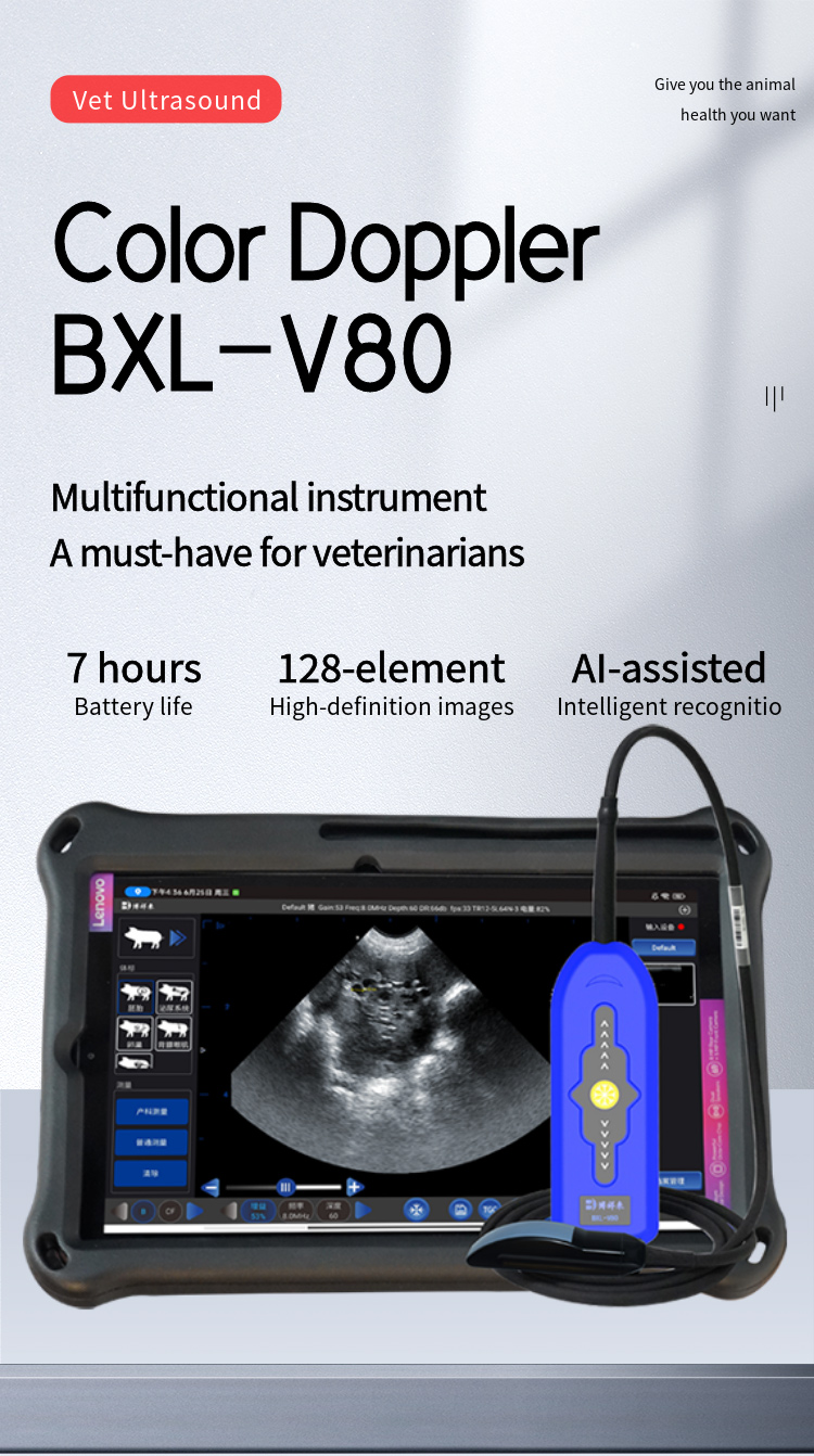 BXL-V80 Veterinary Doppler Ultrasound | 128/192-Element Probes | Backfat & Eye Muscle | IPX7 Waterproof | 7h Battery
