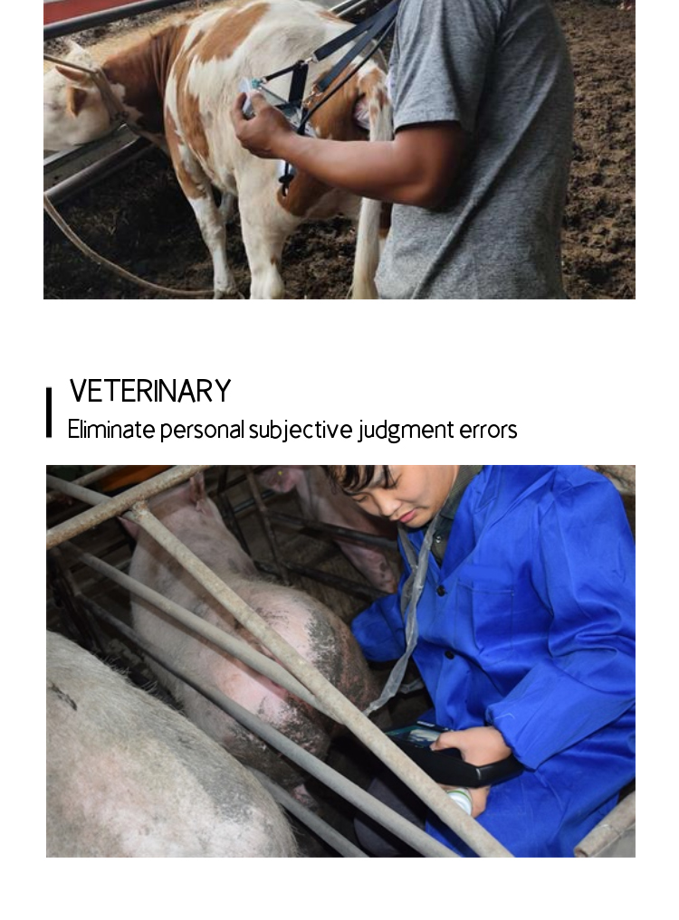 BXL-V80 Veterinary Doppler Ultrasound | 128/192-Element Probes | Backfat & Eye Muscle | IPX7 Waterproof | 7h Battery
