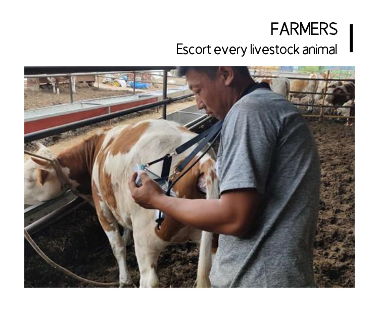 The Importance of Bovine Cattle Ultrasound Machine Diagnostics in Livestock Husbandry