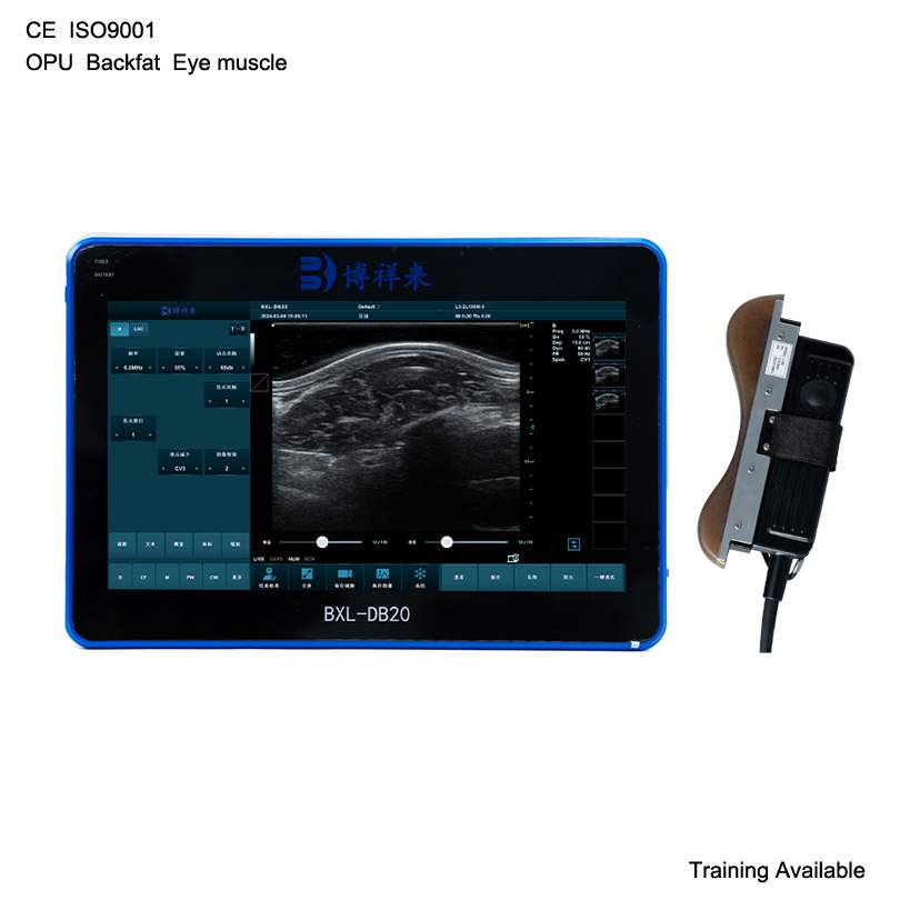 BXL-DB20 Pigs Cattle Sheeps Backfat Ultrasound Device | Breeding-Specific Equipment