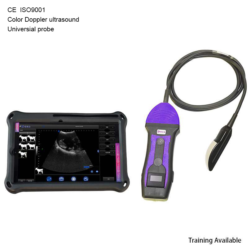BXL-S204 Wireless Vet Color Doppler Ultrasound Universal for All Animals