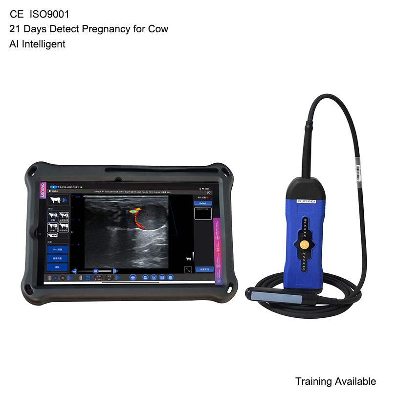 Wireless Veterinary Doppler Cattle & Horse Pregnancy Scanner, 128/192-Probe, S200 Upgrade | BXL-S300
