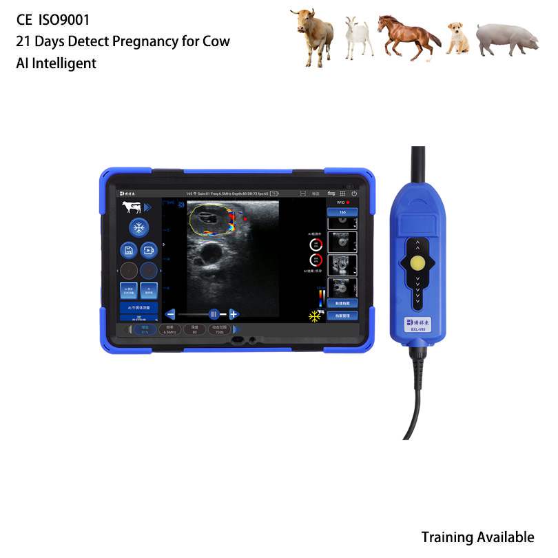BXL-V80 Veterinary Doppler Ultrasound | 21 Days Detect Cow Pregnancy | AI Intelligent | Backfat & Eye Muscle