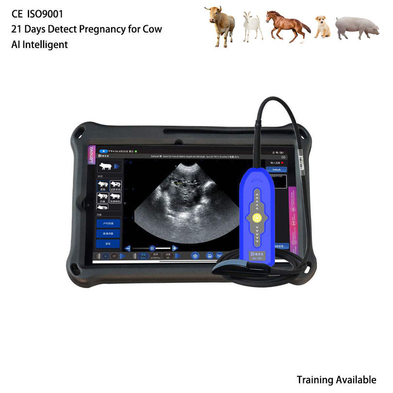 BXL-V80 Veterinary Doppler Ultrasound | 21 Days Detect Cow Pregnancy | 6h Battery | Backfat & Eye Muscle