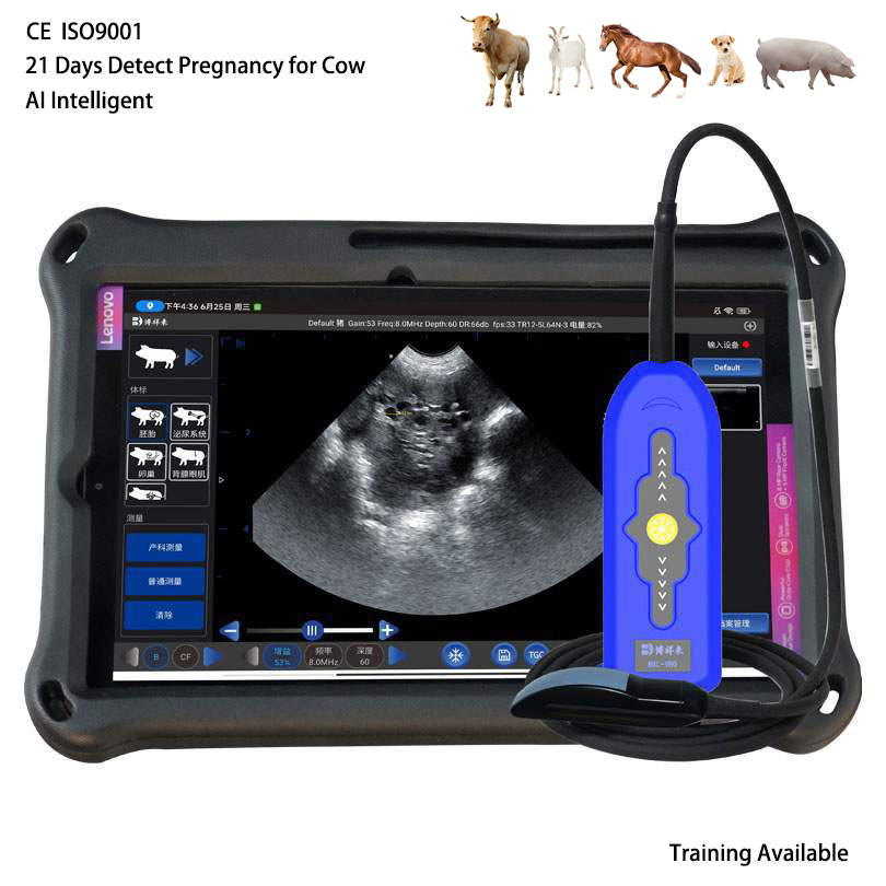 BXL-V80 Veterinary Doppler Ultrasound | 21 Days Detect | 7h Battery | Backfat & Eye Muscle | IPX7 Waterproof