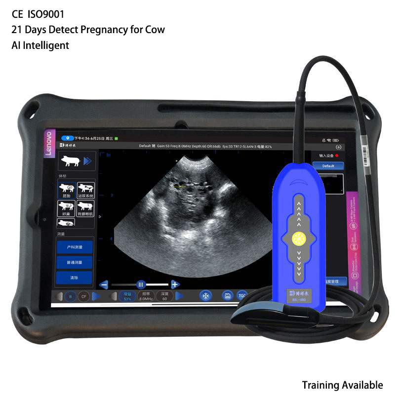 Veterinary Doppler Ultrasound | 128/192-Element Probes | Backfat & Eye Muscle | IPX7 Waterproof | 7h Battery | BXL-V80