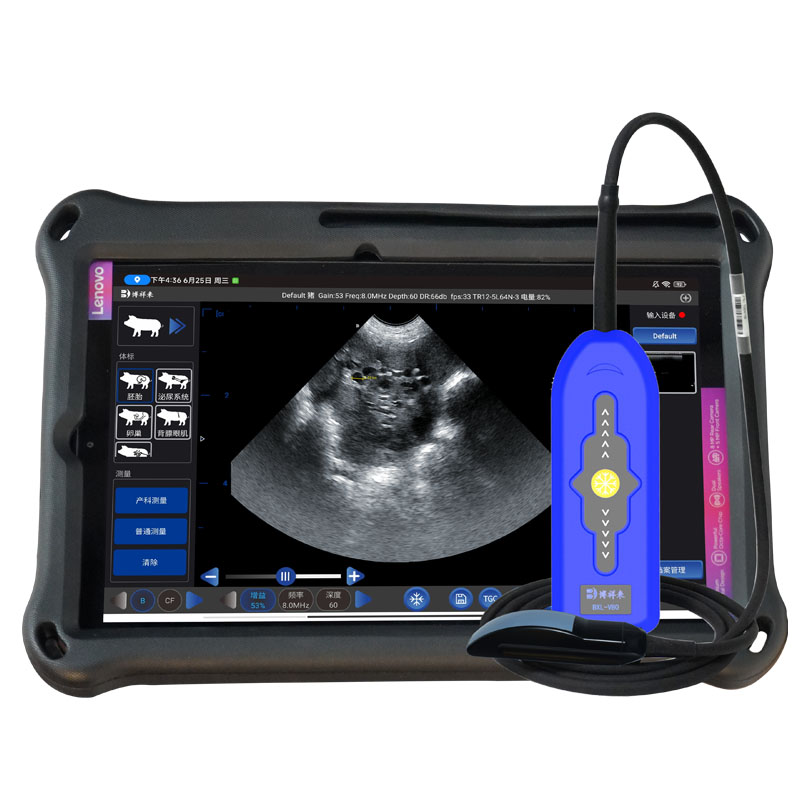 BXL-V80 Veterinary Doppler Ultrasound | 128/192-Element Probes | Backfat & Eye Muscle | IPX7 Waterproof | 7h Battery