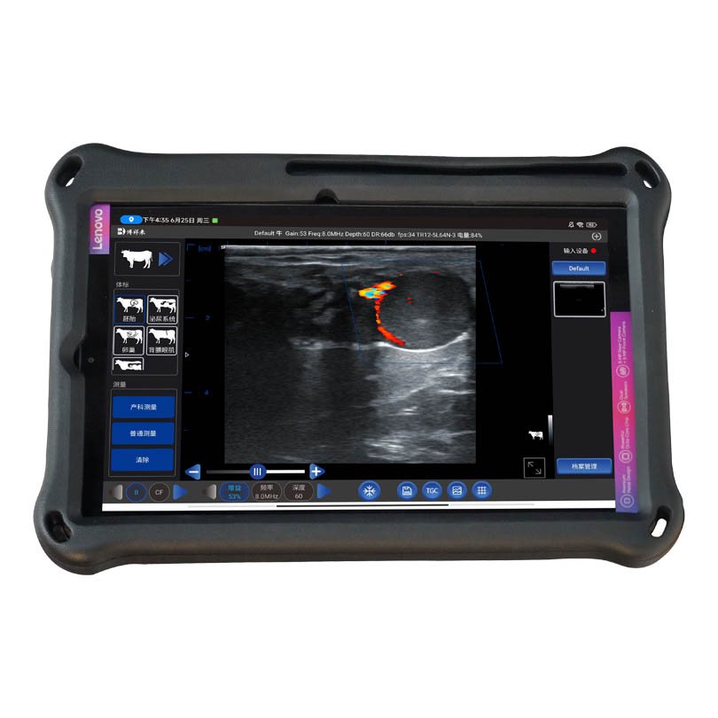 Pig Ovarian Follicle Ultrasound: Precision Imaging for Advanced Swine Reproduction