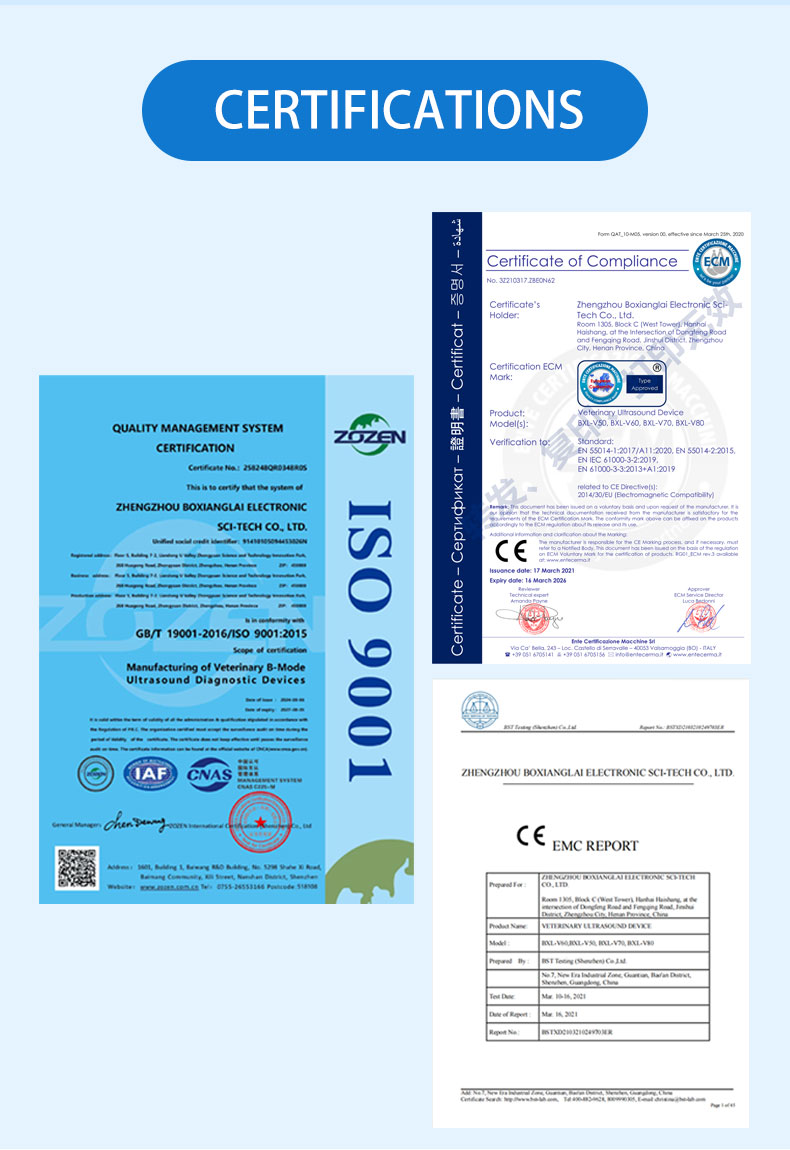 BXL-S305 Wireless Veterinary Color Doppler Backfat Eye Muscle Measurement Instrument