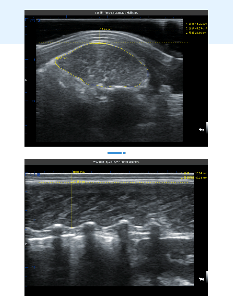 BXL-S305 Wireless Veterinary Color Doppler Backfat Eye Muscle Measurement Instrument