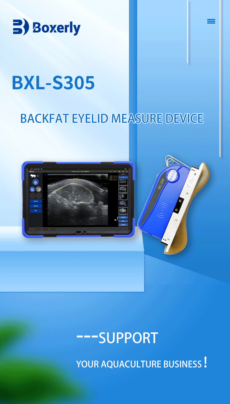BXL-S305 Wireless Veterinary Color Doppler Backfat Eye Muscle Measurement Instrument