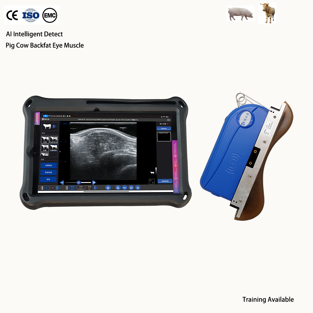BXL-S305 Wireless Veterinary Color Doppler Backfat Eye Muscle Measurement Instrument