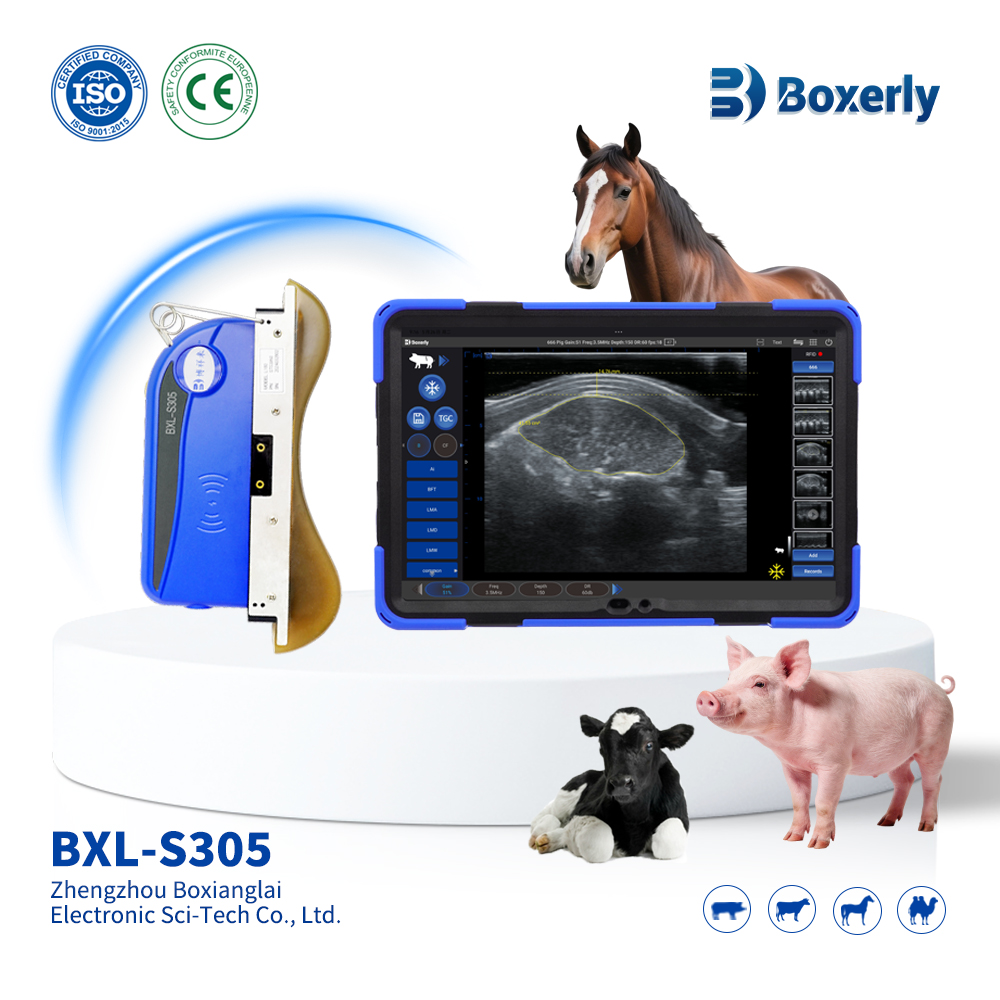 BXL-S305 Wireless Veterinary Color Doppler Backfat Longissimus Muscle Measurement Instrument